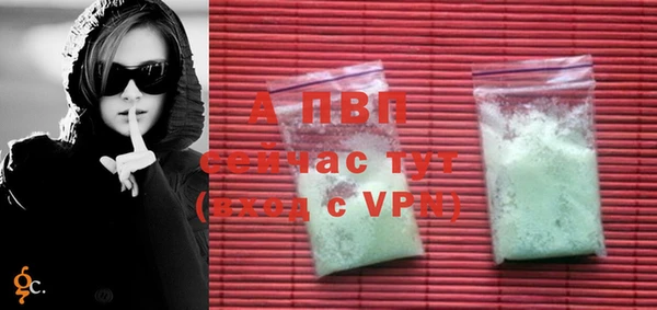 PSILOCYBIN Верхний Тагил