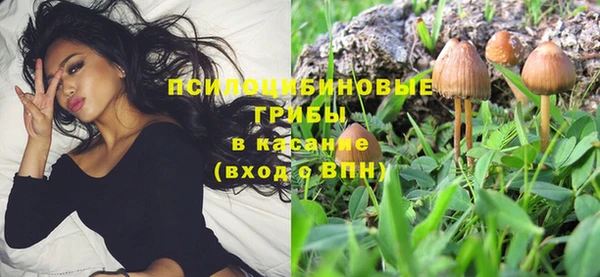 PSILOCYBIN Верхний Тагил