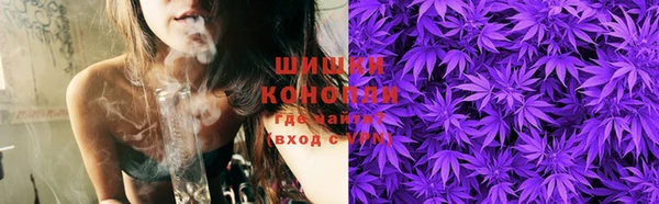 PSILOCYBIN Верхний Тагил
