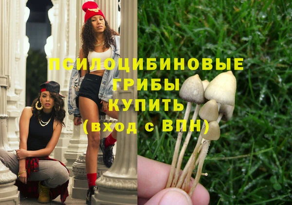 2c-b Верея