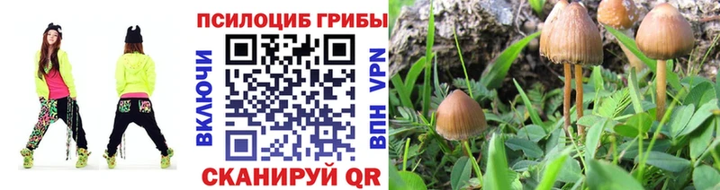 Галлюциногенные грибы MAGIC MUSHROOMS  Купить  Мосальск 