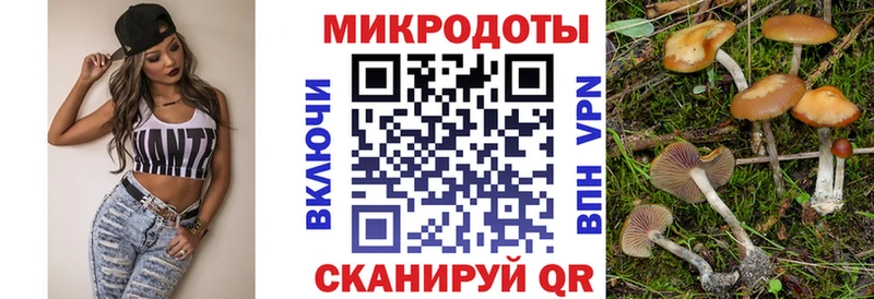 Псилоцибиновые грибы ЛСД Мосальск